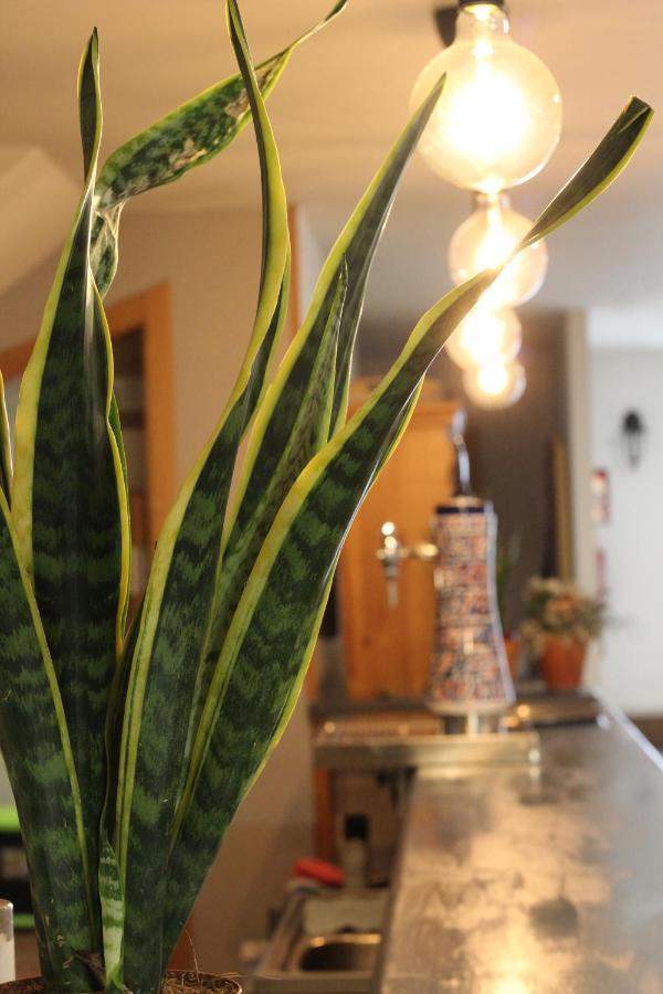 Hostal As Margaritas سانتياغو دي كومبوستيلا المظهر الخارجي الصورة